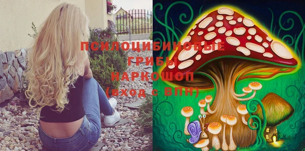 МДПВ Алексеевка