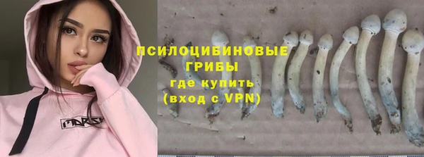 каннабис Алзамай
